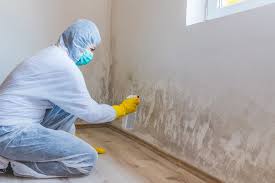 Best Forensic Mold Investigation  in La Grange, TX