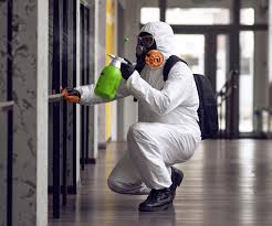 Best Mold Odor Removal Services  in La Grange, TX